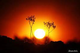Aemet mantiene la alerta por altas temperaturas en Extremadura
