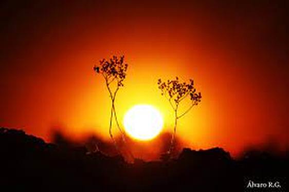 Aemet mantiene la alerta por altas temperaturas en Extremadura