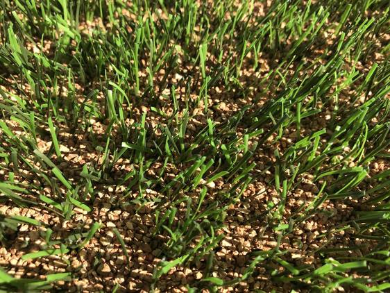 El corcho de San Vicente de Alcántara, una solución a los campos de fútbol de césped artificial