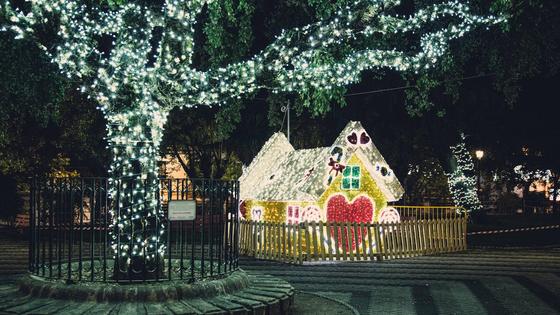 San Vicente se ilumina por Navidad