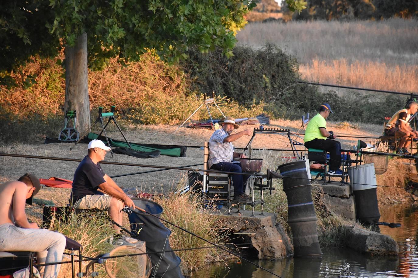 Una Noche en Blanco con récord de actividades (II)