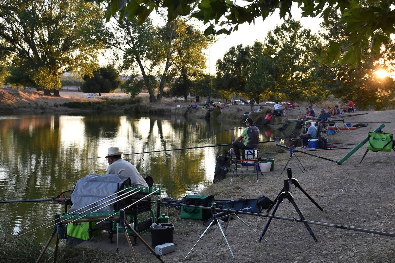 Una Noche en Blanco con récord de actividades (II)