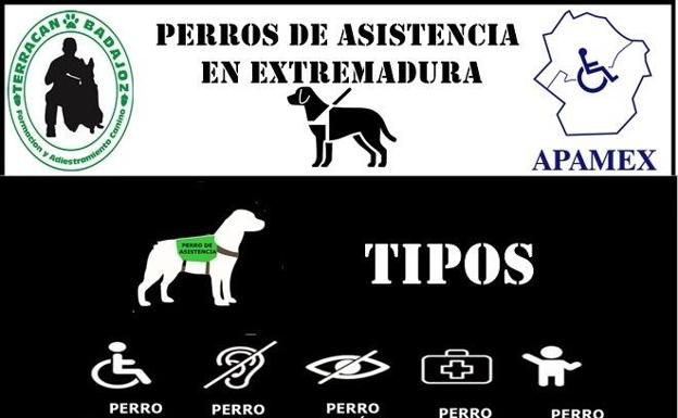 Charla sobre perros de asistencia en Extremadura