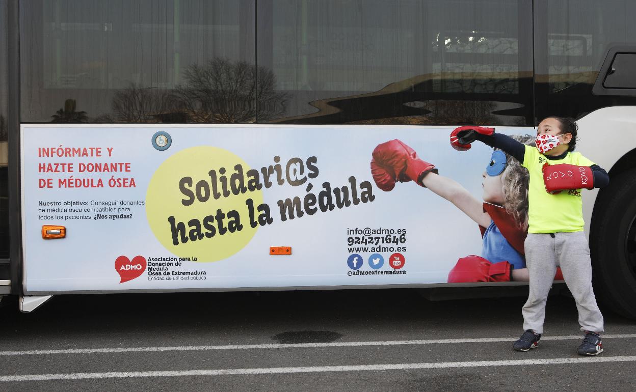Entre cinco y ocho pacientes se trasplantan anualmente de médula ósea en Extremadura