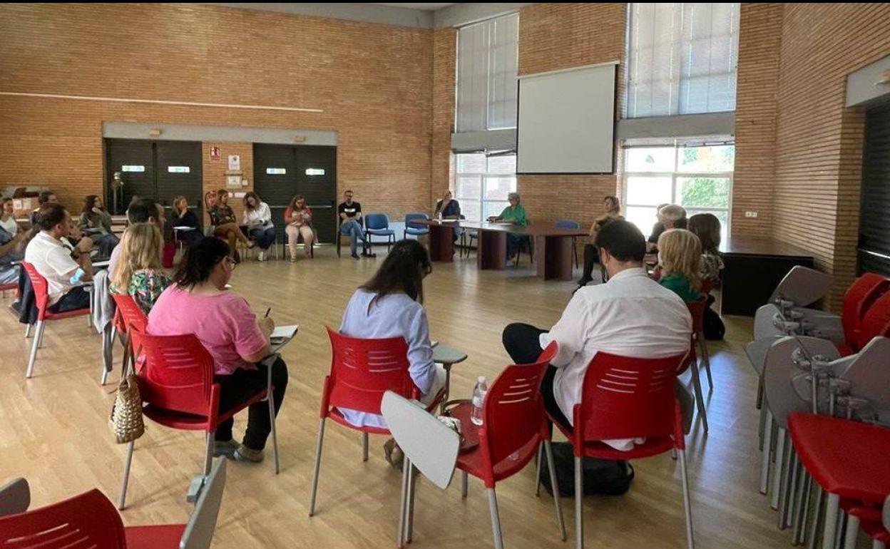 Consejo Sectorial de Personas con Discapacidad. 