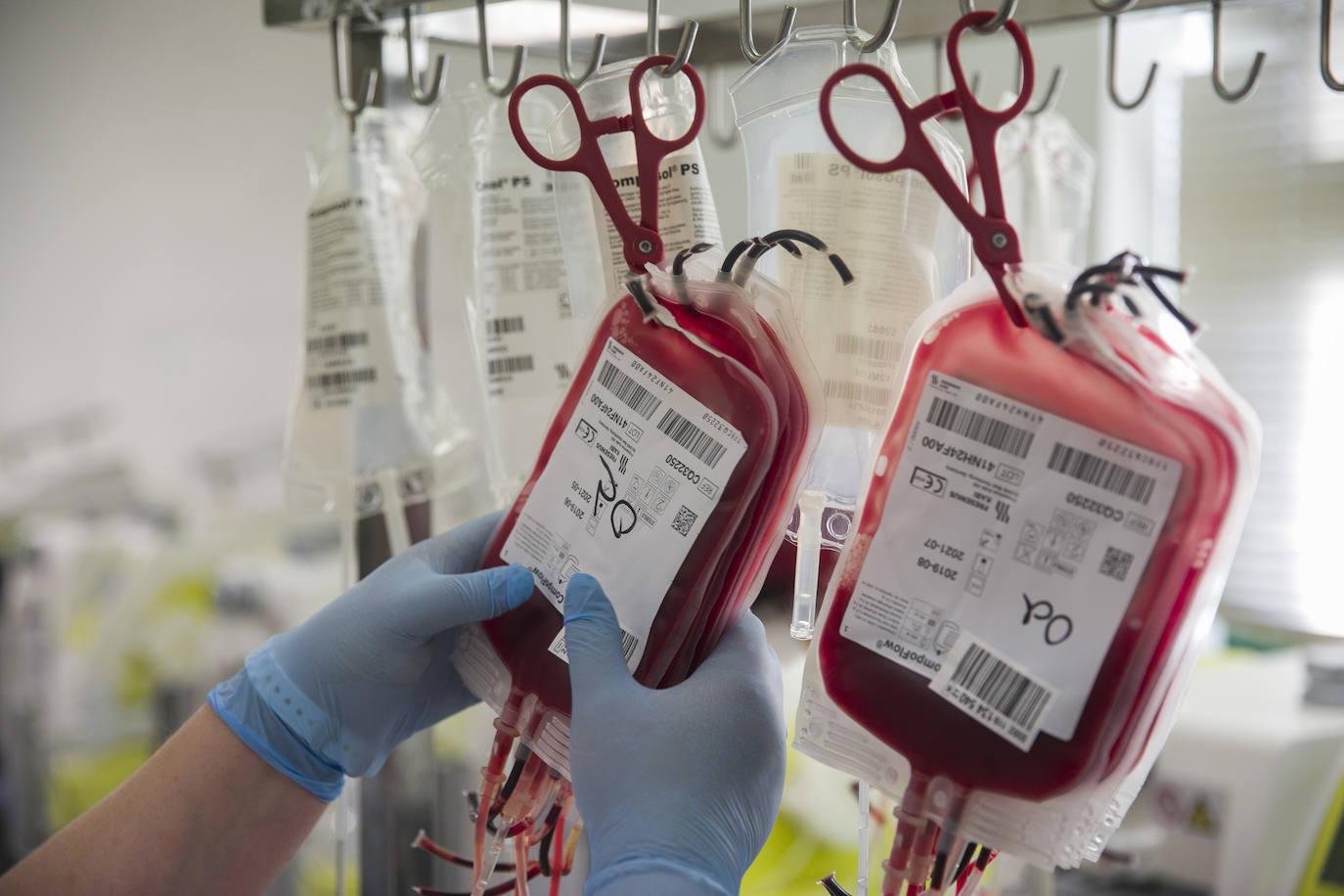 Los equipos del Banco de Sangre visitarán 43 localidades extremeñas en el mes de noviembre