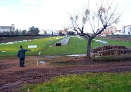 El Circo Romano acogerá las carreras no competitivas.