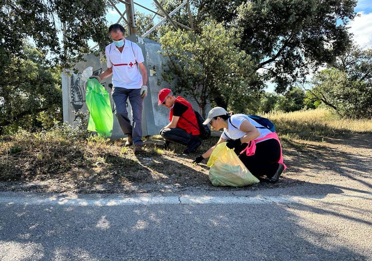 Durante la recogida