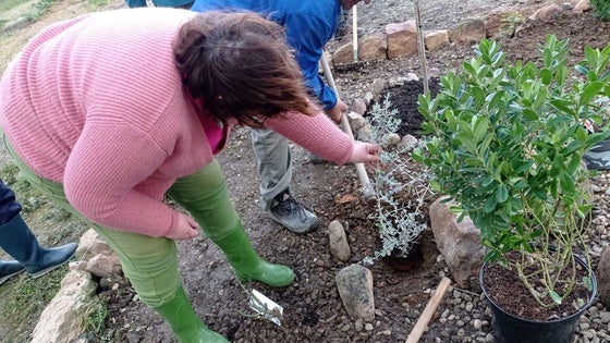 Horticultura y floricultura para impulsar la empleabilidad en personas con discapacidad 