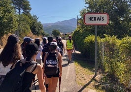 Imagen del campamento.
