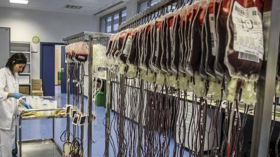 Extremadura aportó el año pasado 1.023 nuevos donantes de médula