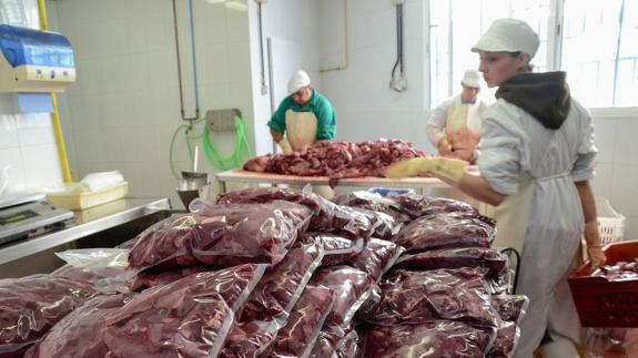 En las instalaciones de la empresa Chacinera Extremeña se prepara la carne antes de llegar al Banco de Alimentos.