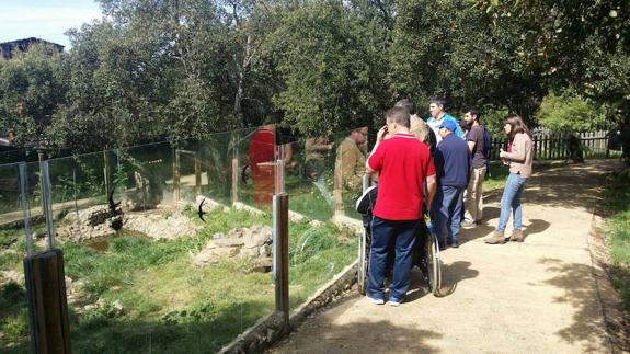 Acción en la naturaleza de Inclusives.