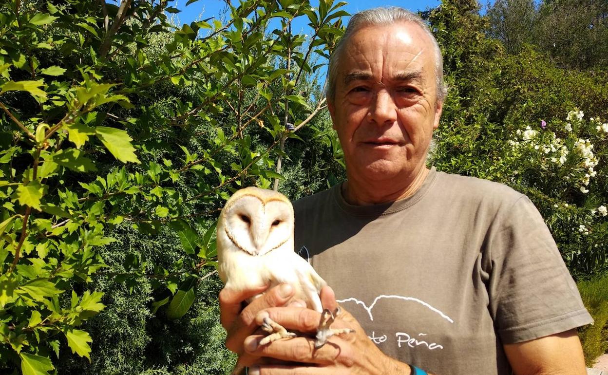 Álvaro posa con un lechuga rescatada en Puerto Peña. 