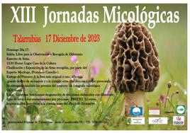 Talarrubias celebra sus XIII Jornadas Micológicas