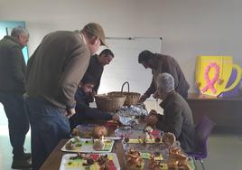 Las setas se clasificaron en función de si eran comestibles, venenosas o especies comunes.