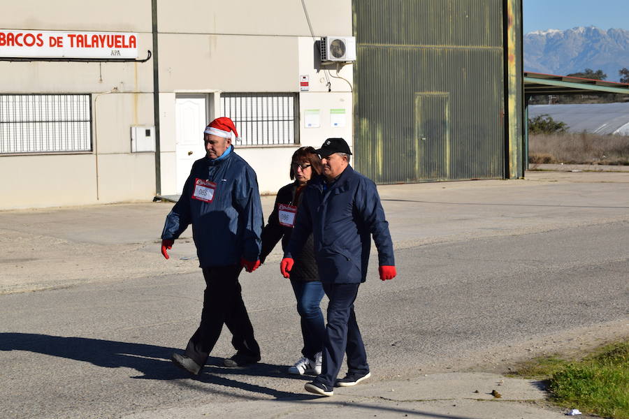 Fotos: V Marcha Solidaria de Talayuela