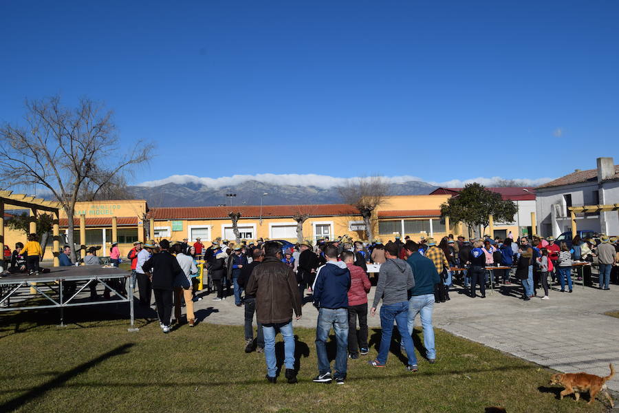 Fotos: Matanza Popular en Barquilla de Pinares 2019