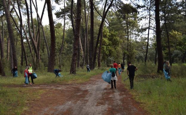 La Sociedad de Cazadores organiza una nueva jornada de limpieza del pinar