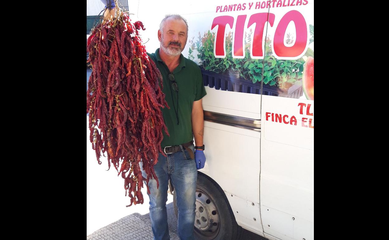 «Existen alternativas al cultivo de tabaco»