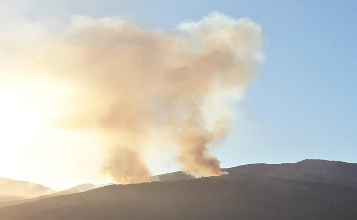 Columnas de humo de los incendios que afectan al Jerte y La Vera este lunes