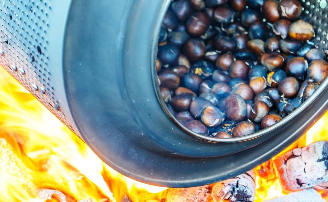 El Ayuntamiento prohíbe la celebración de los tradicionales Calbotes en la dehesa y el pinar