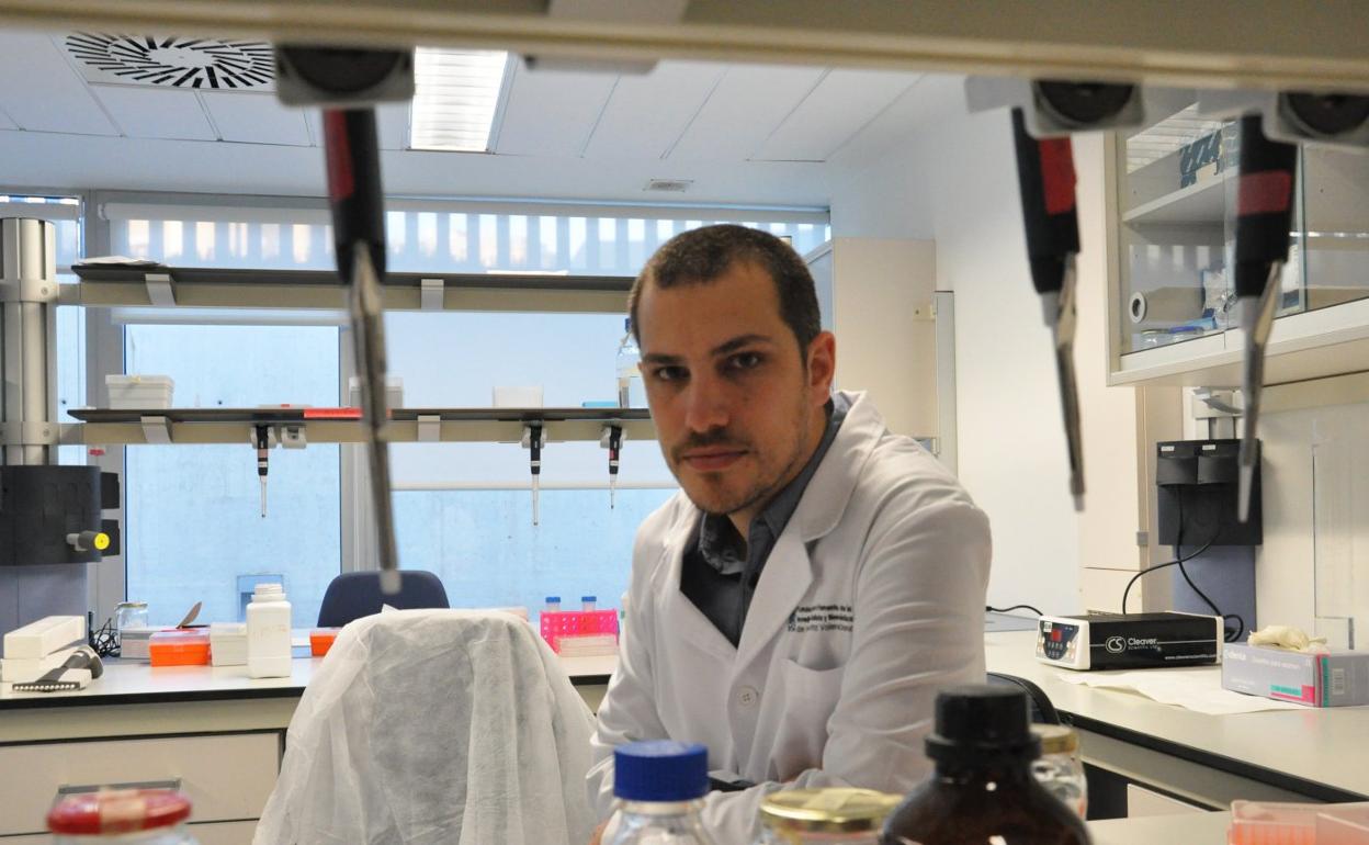 Cinco de las 16 cepas detectadas del coronavirus han llegado a Extremadura