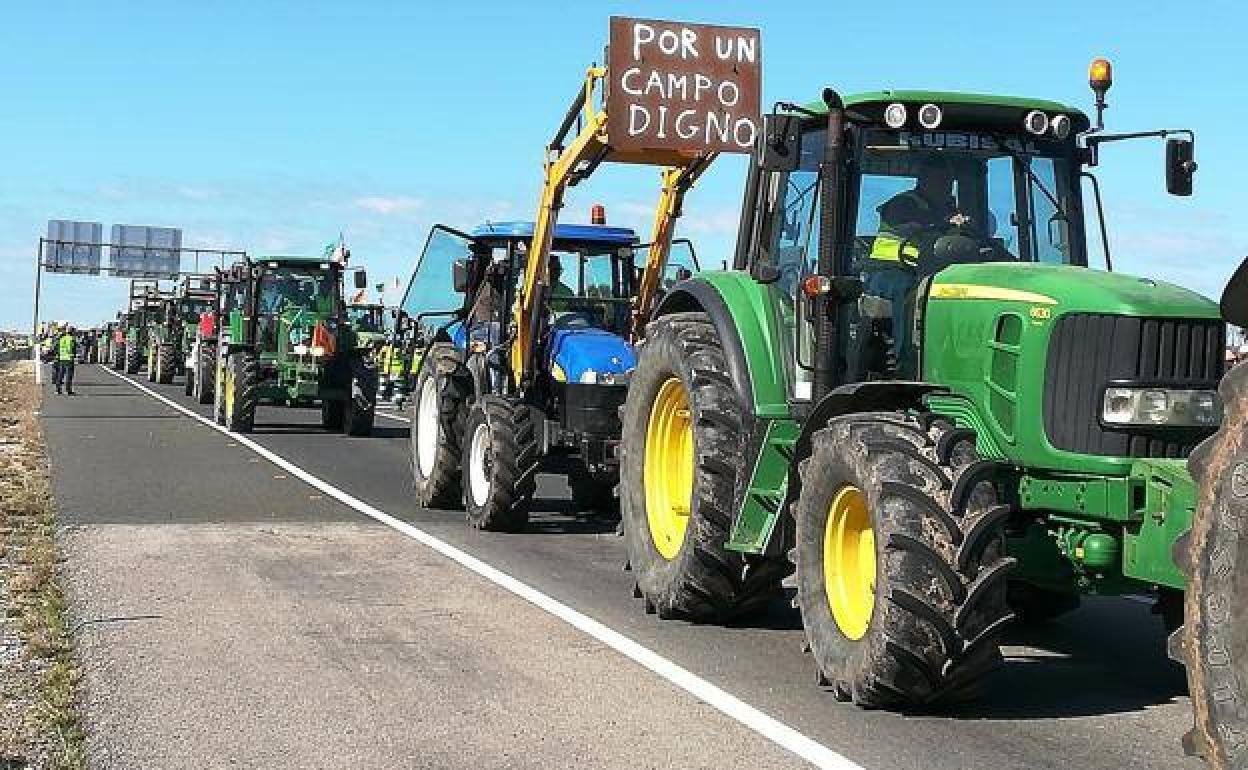 Se posponen las movilizaciones de tabaco a la espera de una reunión con el ministro de Agricultura