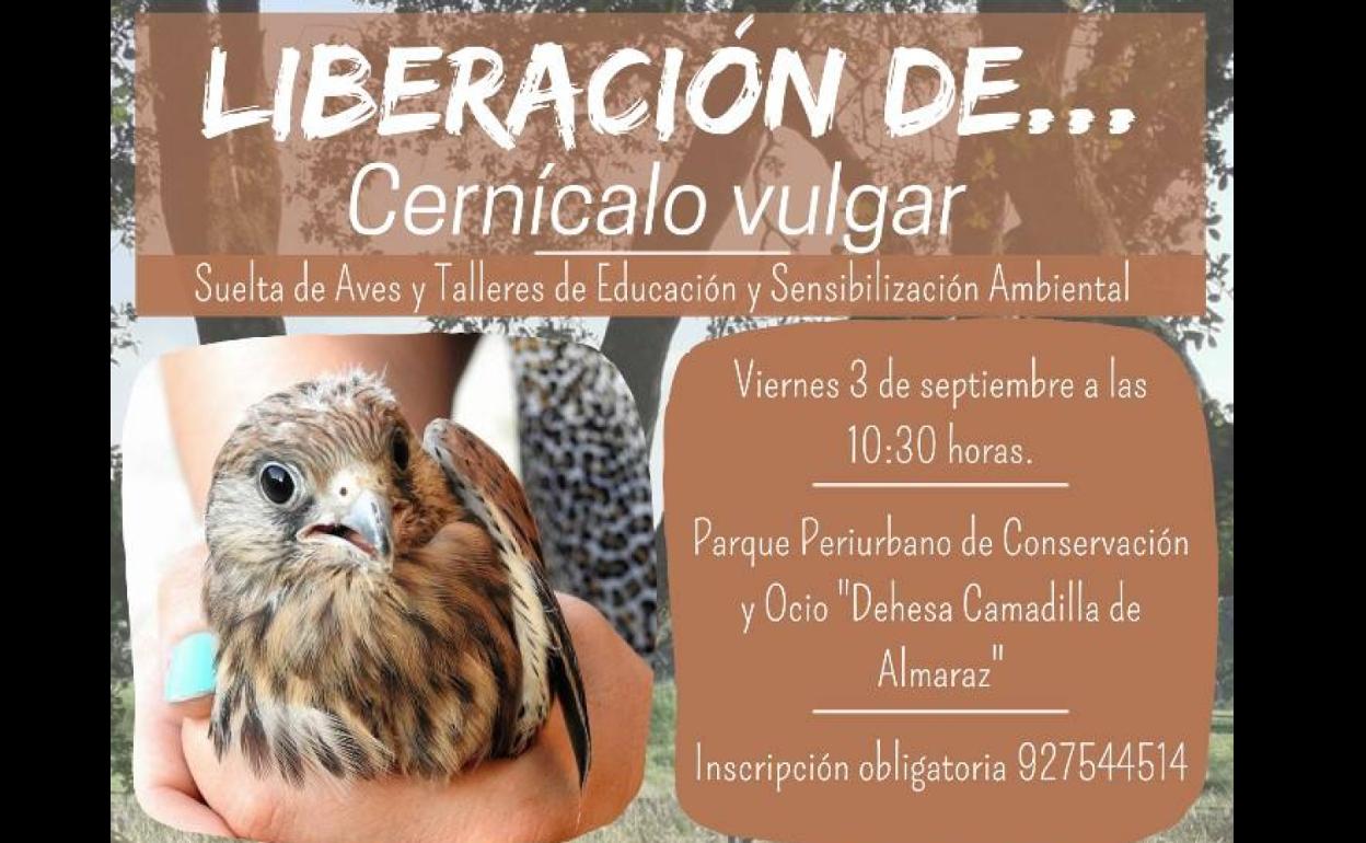 El Orchydarium de Almaraz realizará una liberación de aves el próximo 3 de septiembre