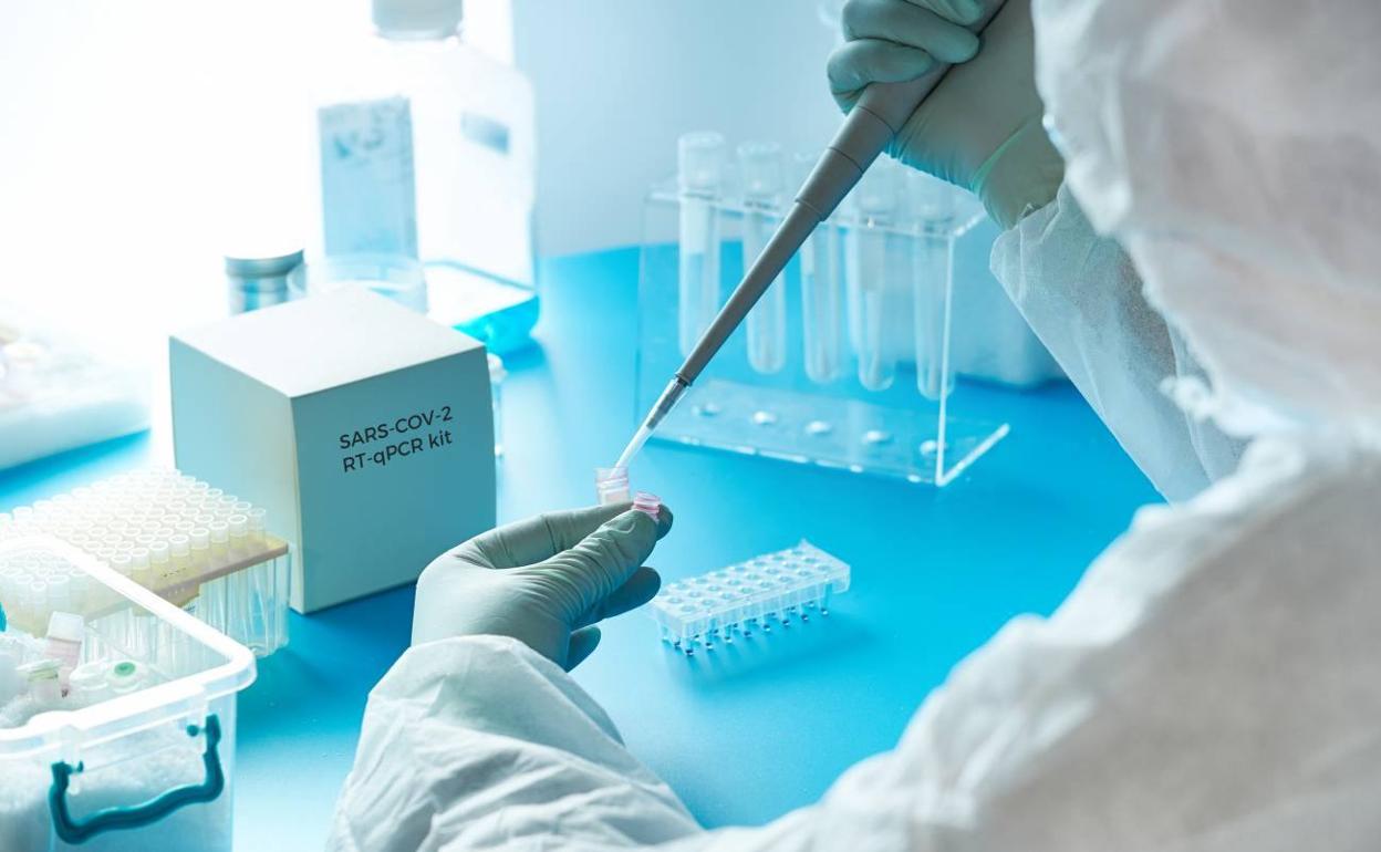 Talayuela registra 22 nuevos positivos y 39 altas epidemiológicas