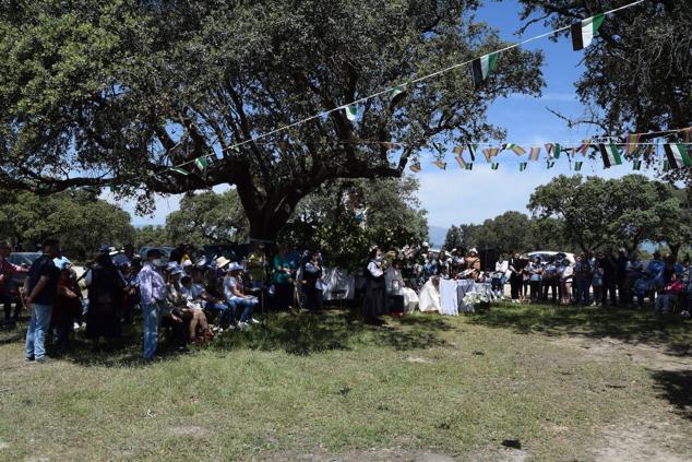 Fotos: Romería en honor a la Virgen de la Asunción, Talayuela 2022