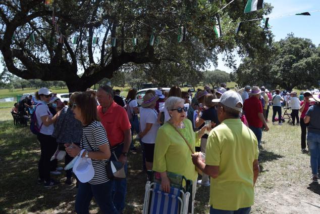 Fotos: Romería en honor a la Virgen de la Asunción, Talayuela 2022