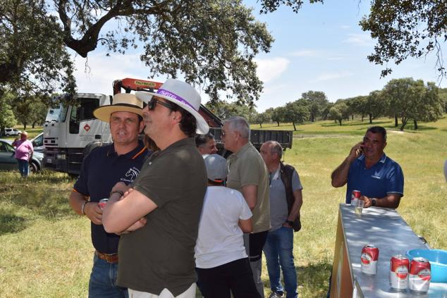 Fotos: Romería en honor a la Virgen de la Asunción, Talayuela 2022