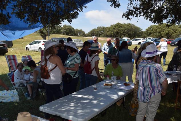 Fotos: Romería en honor a la Virgen de la Asunción, Talayuela 2022