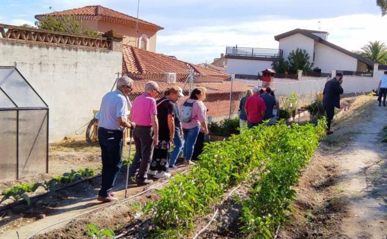 Visita al nuevo huerto social 