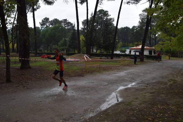 Fotos: Aned organiza la primera edición de la carrera popular 'Pinar de Talayuela'