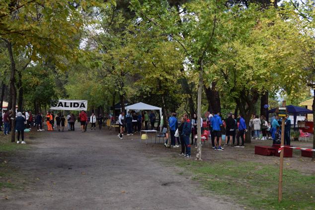 Fotos: Aned organiza la primera edición de la carrera popular 'Pinar de Talayuela'