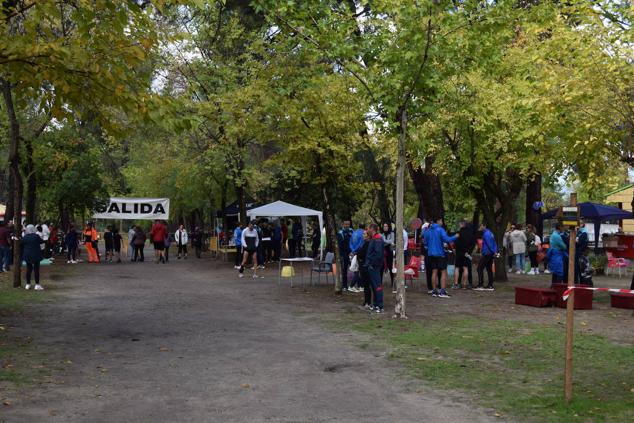 Fotos: Aned organiza la primera edición de la carrera popular 'Pinar de Talayuela'