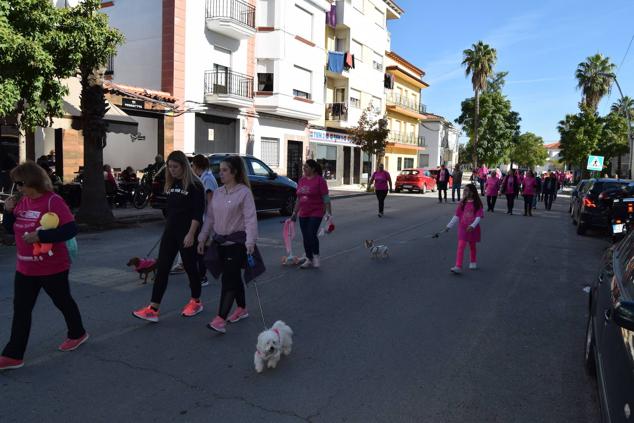 Fotos: Marcha Rosa Talayuela 2022