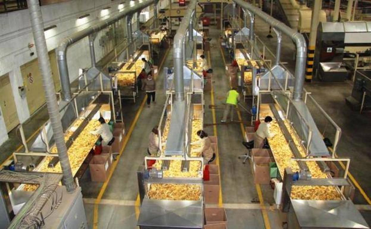 Cetarsa convoca 21 ofertas de empleo