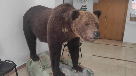 El Ayuntamiento rescata al Oso Hércules para su exposición