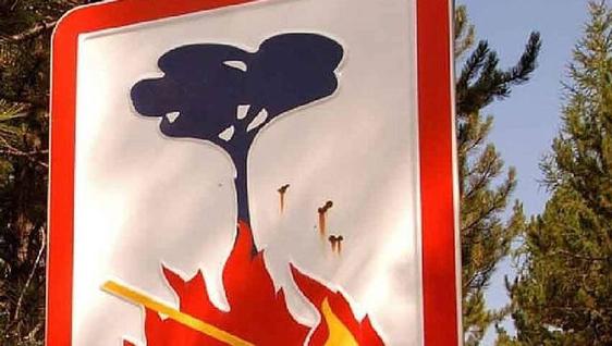 El pasado miércoles se localizaron en Talayuela 6 focos diferentes de incendios provocados