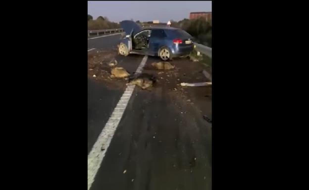 Un conductor resulta ileso tras atropellar varios jabalíes en la EX-A1