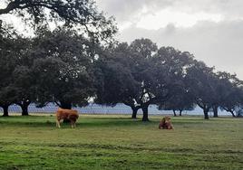 La empresa Statkraft invierte 34 millones de euros en la planta solar Talayuela II