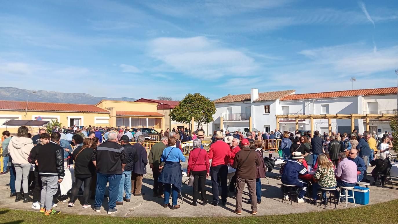 Barquilla de Pinares celebra su tradicional matanza anual