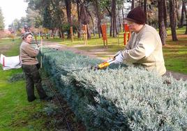 El curso tendrá una duración de 150 horas