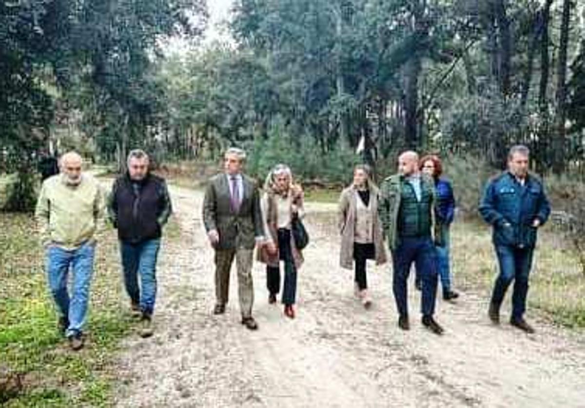 El consejero en su recorrido por el pinar