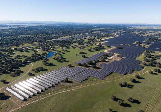 Vista aérea de la planta.