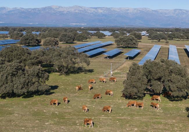 Statkraft ha elaborado un Plan de Integración Medioambiental.