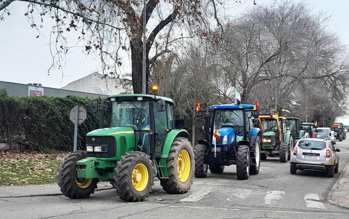 El Ayuntamiento de Talayuela apoya la defensa del campo